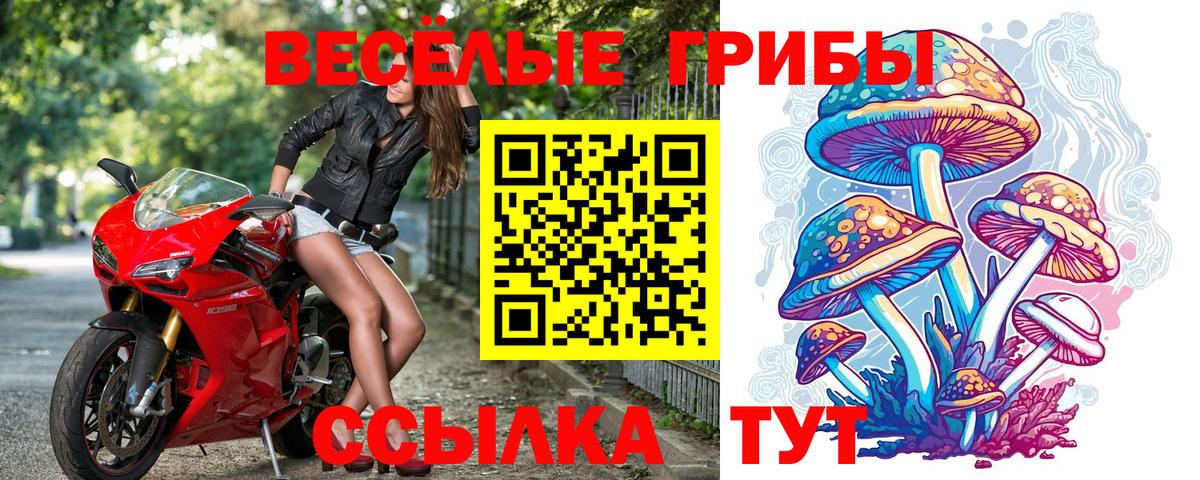 Воркута  Галлюциногенные грибы мицелий  Псилоцибиновые грибы GOLDEN TEACHER  цены наркотик  Вход с VPN 